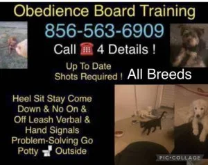 No more unruly k9 all breeds