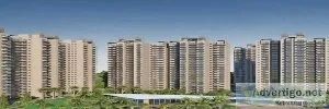 Ss group sector 83 gurgaon