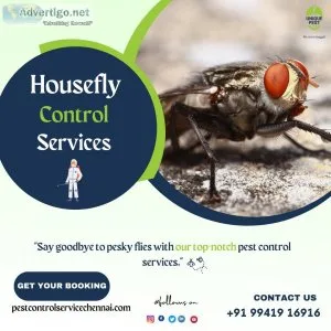 Hurry to get housefly service at your nearest branch from us