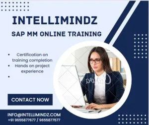 Sap mm online training