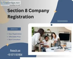 Section 8 company registration fees and consultant