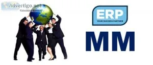 Sap mm training in delhi
