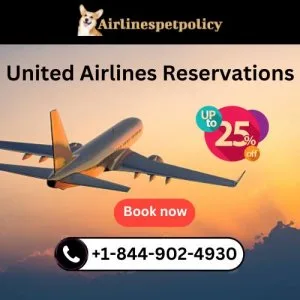 United airlines reservations