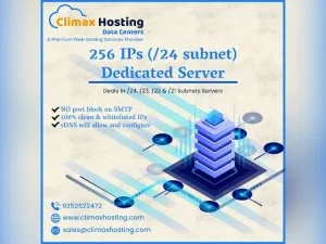 Buy low cost 24 subnet server