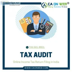Tax audit