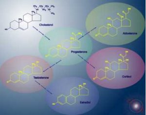 Acyclovir fleximer