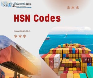 Hsn codes