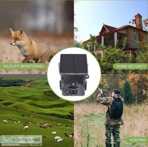 Wildlife cameras digital cameras