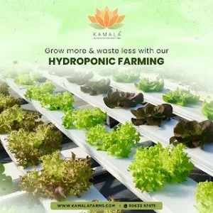 Improving efficiency and productivity in agriculture with contra