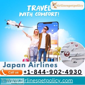 How to manage your flight with japan airlines