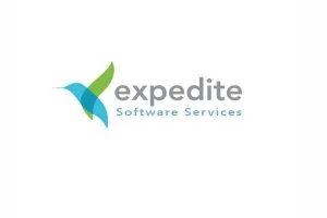 Elevate your team s performance with staff augmentation services