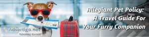 Allegiant airlines pet policy