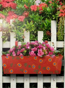 Buy railing planters online at the lowest price in india