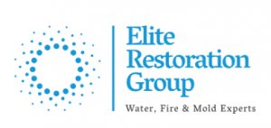 Elite restoration group