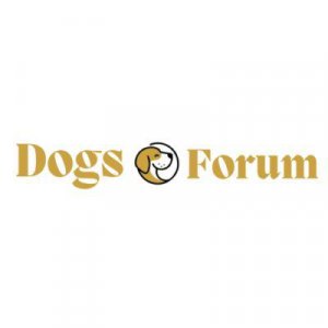 Dogs forum