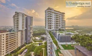 Luxury apartments in bangalore, luxury property in bangalore