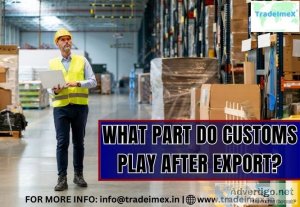 Import export data