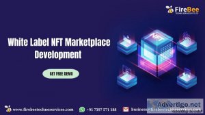 White label nft marketplace development - get a free demo