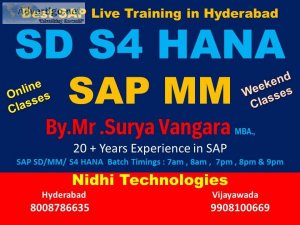 Sap sales and distribution / Material Management 100% Placement 