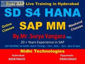 Sap sales and distribution / Material Management 100% Placement 