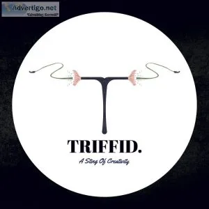 Triffid marketing pvt ltd