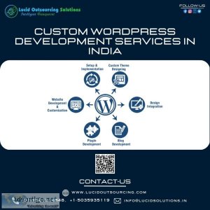 Custom wordpress development services in india | lucid outsourci