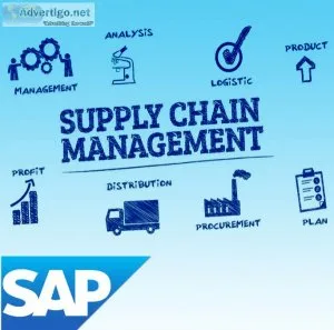 Overcoming challenges in sap software implementation