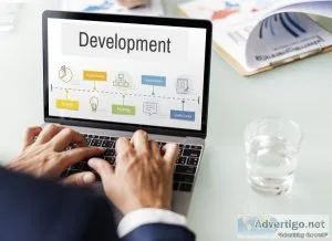 Custom web development services