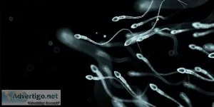 Male infertility treatment in delhi by a leading urologist