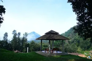 Why are homestays better while you are on a vacation
