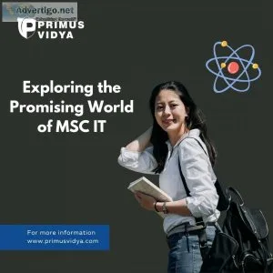 Exploring the promising world of msc it