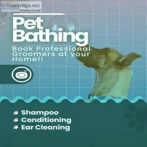 Dog grooming in delhi
