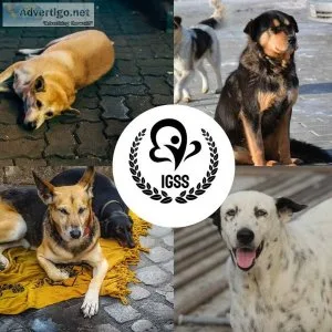 Best ngo in lucknow- igss