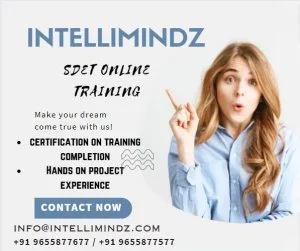 Sdet online training