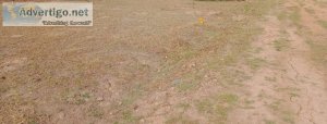 DTCP APPROVED PLOTS FOR SALE AT SEVAPPET