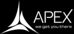 Maximizing website visibility: the importance of apex infotech?s