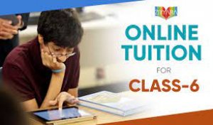 Online tuition for class 6 - expert online classes for grade 6 s