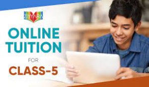 Online tuition for class 5 | expert online classes for grade 5 s