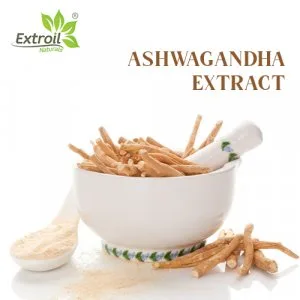 Ashwagandha extract supplier, manufacturer & exporter - extroil