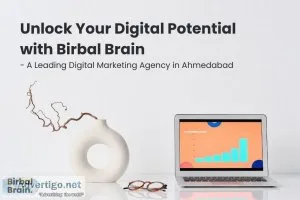 Unlock your digital potential with birbal brain - a leading digi