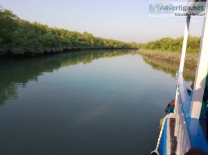 Sundarban launch tour: explore the beauty of the mangroves