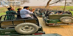 Ranthambore national park tour package