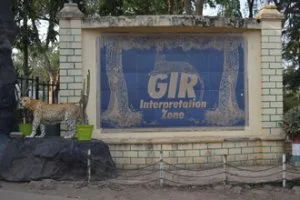 Best safari booking for gir national park
