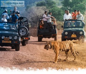 Ranthambore national park safari booking