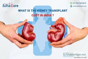 Affordable kidney transplant cost in india: quality care within 