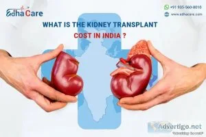 Affordable kidney transplant cost in india: quality care within 