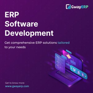 Leading customizable software development