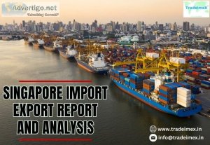 What product does singapore import?