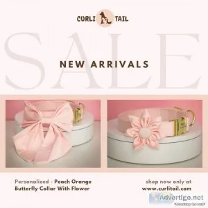 Fashionable dog collar bow for your pets | curlitail
