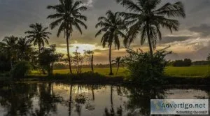 Famous kerala backwater tour | best famous kerala tour | indian 
